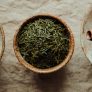 读者半盏茶的评论头像
